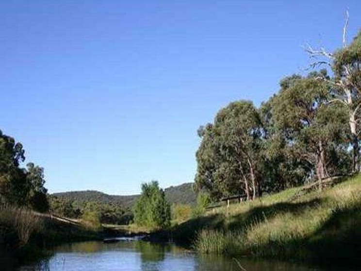 Click to view all images 935 Bullock Mount Rd Yarrowford NSW 2370 - Image 2