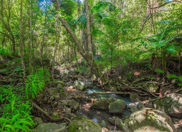 Click to view all images Mullumbimby Creek NSW 2482 - Image 3