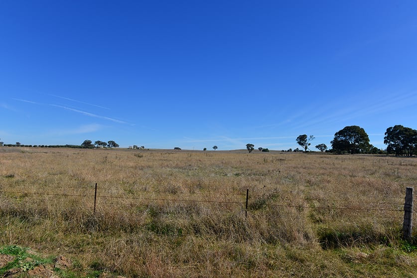 68 Zimmler Lane Gulgong NSW 2852 - Image 2