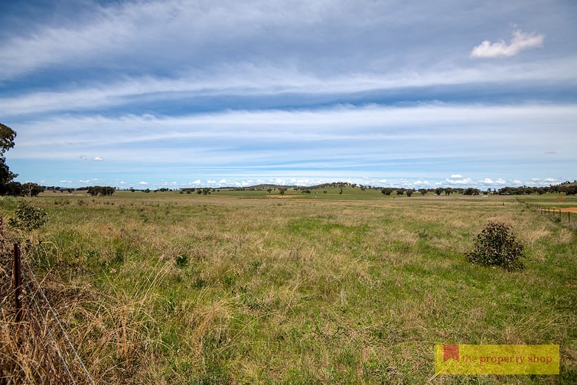 76 Zimmler Lane Gulgong NSW 2852 - Image 3