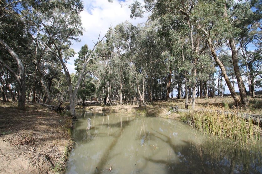 1515 Blue Springs Road Gulgong NSW 2852 - Image 1