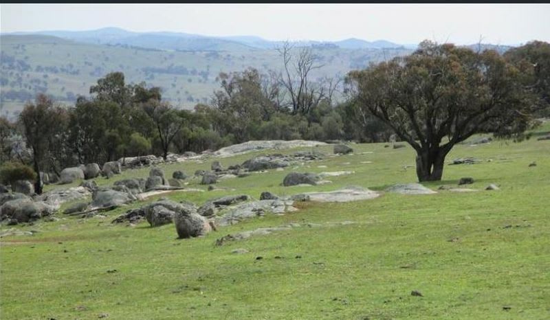 Click to view all images 2027 Ophir Rd Rock Forest NSW 2795 - Image 3