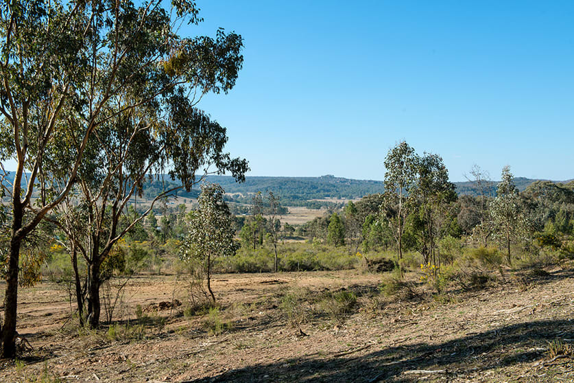 Click to view all images 345 Iron Barks Road Mudgee NSW 2850 - Image 1