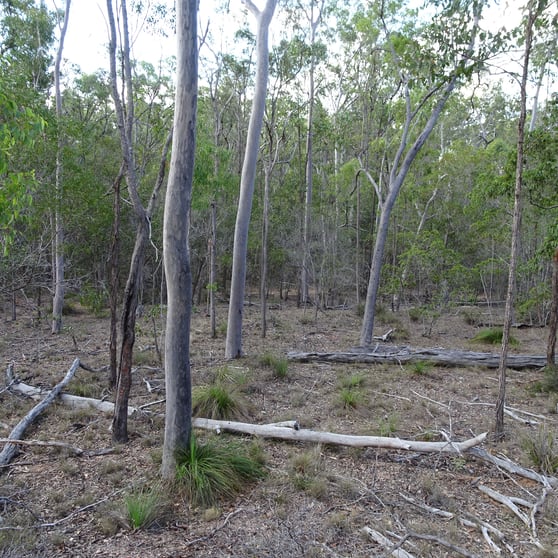 Click to view all images 418 MARULE ROAD Booyal QLD 4671 - Image 1