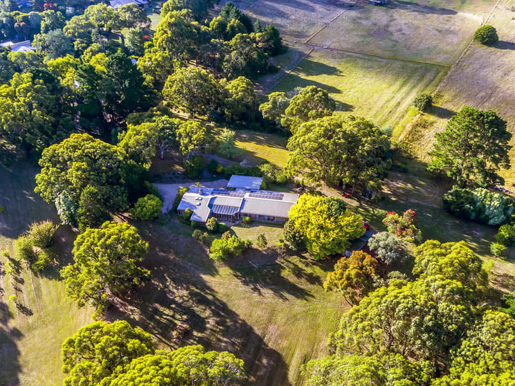 Click to view all images 69 Beauford Rd Red Hill VIC 3937 - Image 2