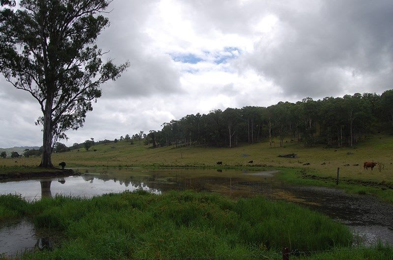 Click to view all images 2914 Sextonville Rd Woolners Arm NSW 2470 - Image 3