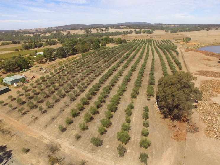 Click to view all images Heathcote VIC 3523 - Image 2