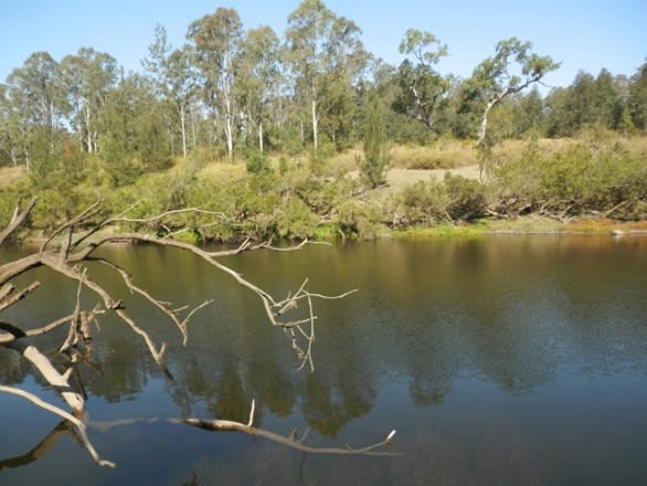 Click to view all images Lot 8/1534 Paddys Flat Rd Tabulam NSW 2469 - Image 2