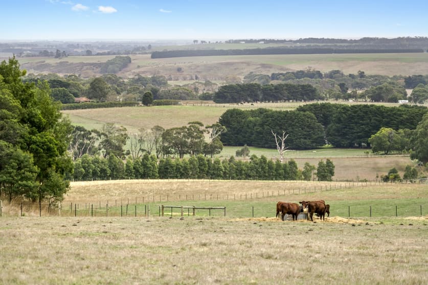 20 Old Lorne Road Deans Marsh VIC 3235 - Image 1