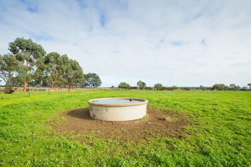 Click to view all images 1690 Ellerslie-Panmure Road Panmure VIC 3265 - Image 1