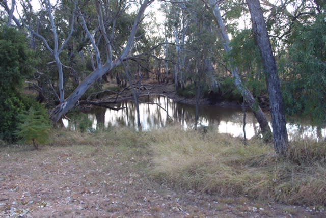 284 Meandarra-Talwood Road Meandarra QLD 4422 - Image 2