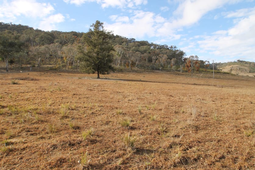 Click to view all images 2047 Hill End Road Mudgee NSW 2850 - Image 2