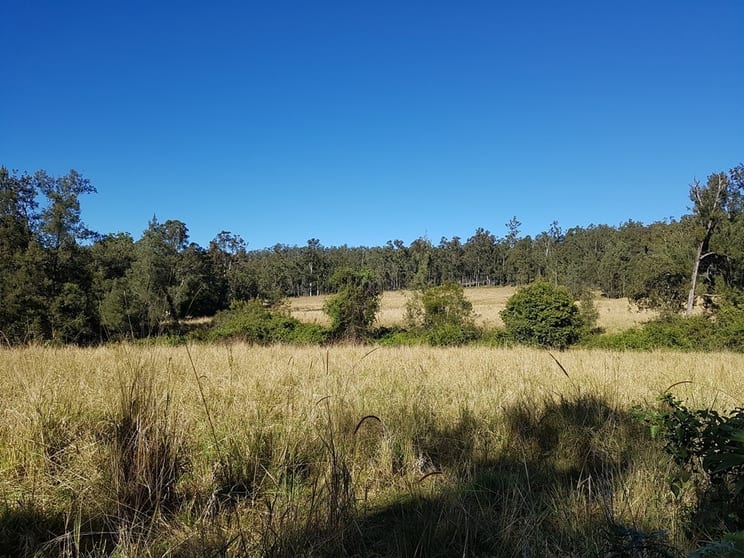 LOT 10 & 11 Iron Pot Creek Road Kyogle NSW 2474 - Image 3