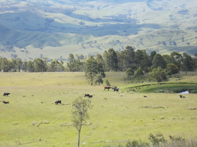Click to view all images 1472A Glendonbrook Road Glendon Brook NSW 2330 - Image 2