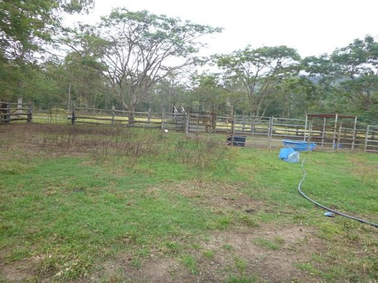 Click to view all images 1/ Carrig Dhown Road Long Pocket QLD 4850 - Image 3