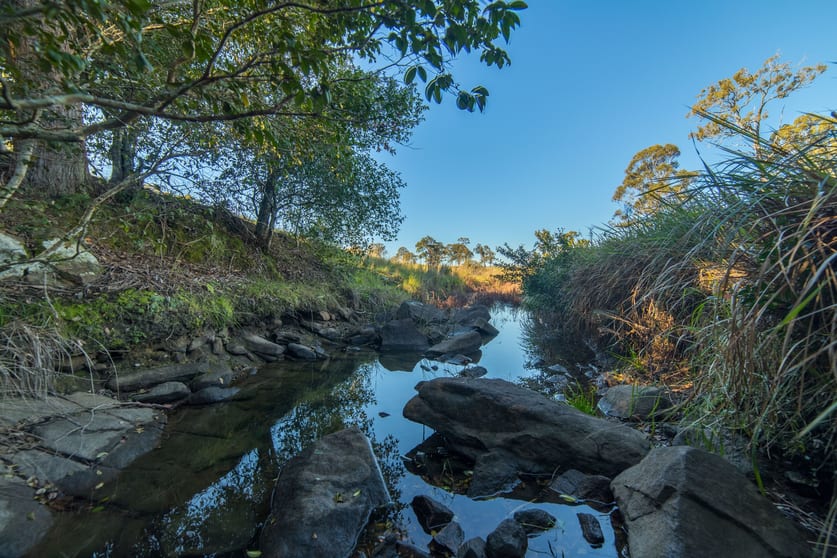 Click to view all images 45 Parsons Road Clarence Town NSW 2321 - Image 3