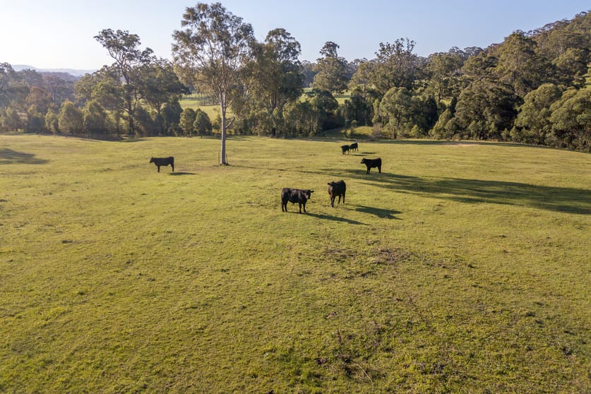 Click to view all images 92 Punchs Road Clarence Town NSW 2321 - Image 1