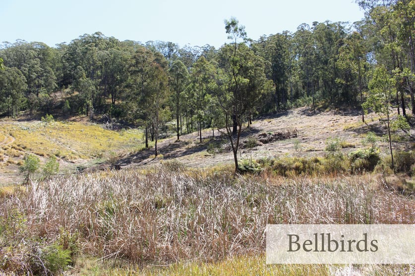 Lot 103 Mud Hut Road Gloucester NSW 2422 - Image 3