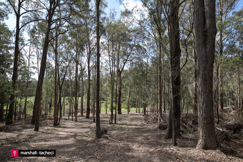 Lot 1 Tathra-Bermagui Road Murrah NSW 2546 - Image 3