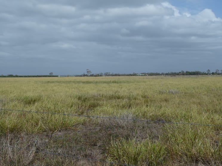 Click to view all images 425 Three Chain Road Calavos QLD 4670 - Image 2