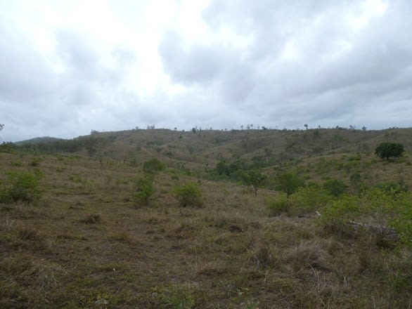 Click to view all images Moolboolaman QLD 4671 - Image 1