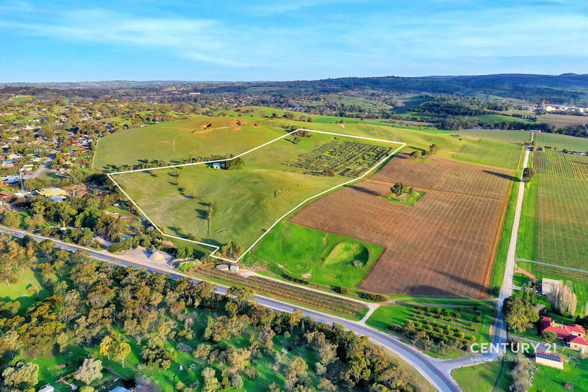 Click to view all images Lot 404 Richard Street Penrice SA 5353 - Image 1