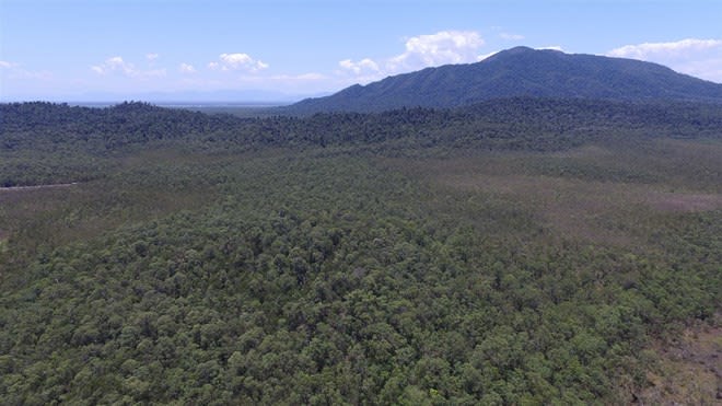 0 Tully-Mission Beach Road East Feluga QLD 4854 - Image 1