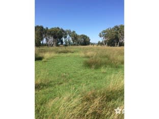 Click to view all images 43 Farrellys Road Paget QLD 4740 - Image 1