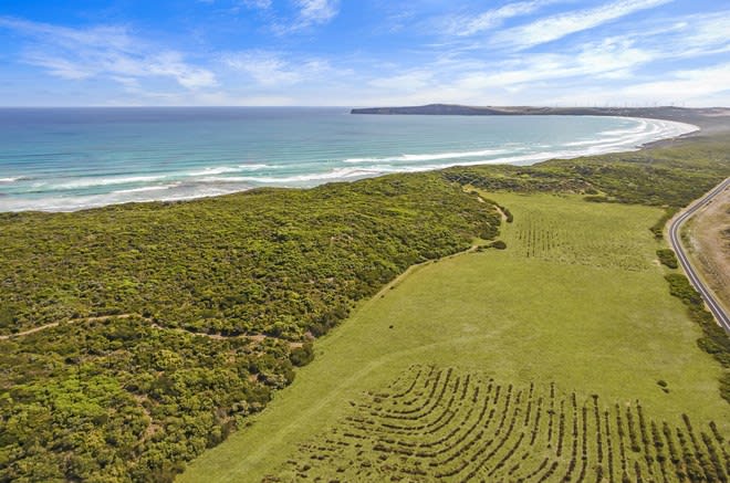 Lot 1 Bridgewater Road Cape Bridgewater VIC 3305 - Image 1