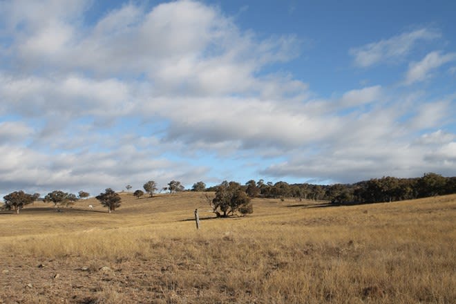 Click to view all images 962 Campbells Creek Road Mudgee NSW 2850 - Image 2