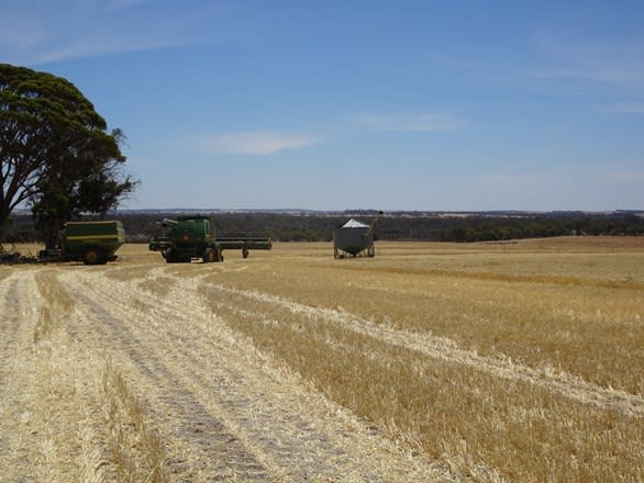 187 Yilliminning Rd Toolibin WA 6312 - Image 3