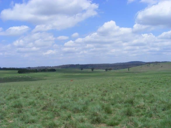 Click to view all images 541 New England Highway Glen Innes NSW 2370 - Image 3