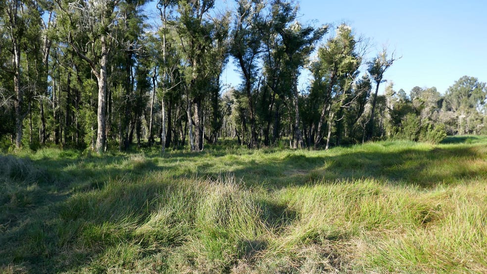 Click to view all images 107/400 Phillips Swamp Road Busbys Flat NSW 2469 - Image 2