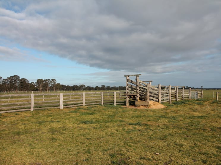 205 Buchanans Road Bairnsdale VIC 3875 - Image 3