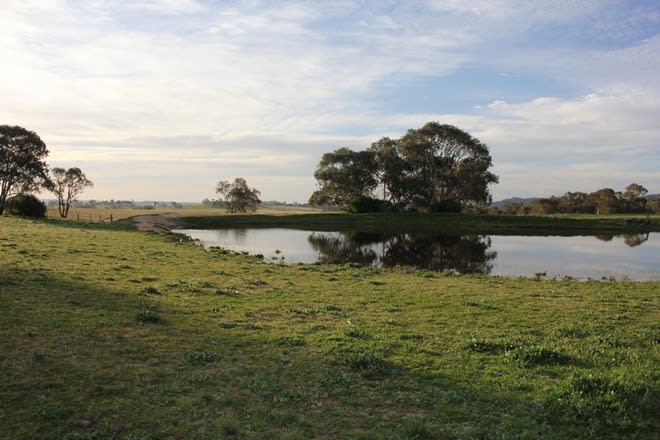 219 Mersing Road Glanmire NSW 2795 - Image 2