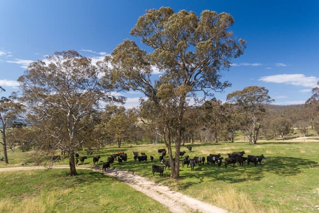Click to view all images Hartley NSW 2790 - Image 3