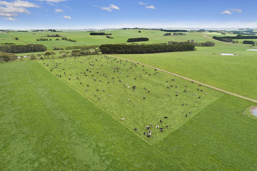 Click to view all images 601 Boorook Road Cooriemungle VIC 3268 - Image 3