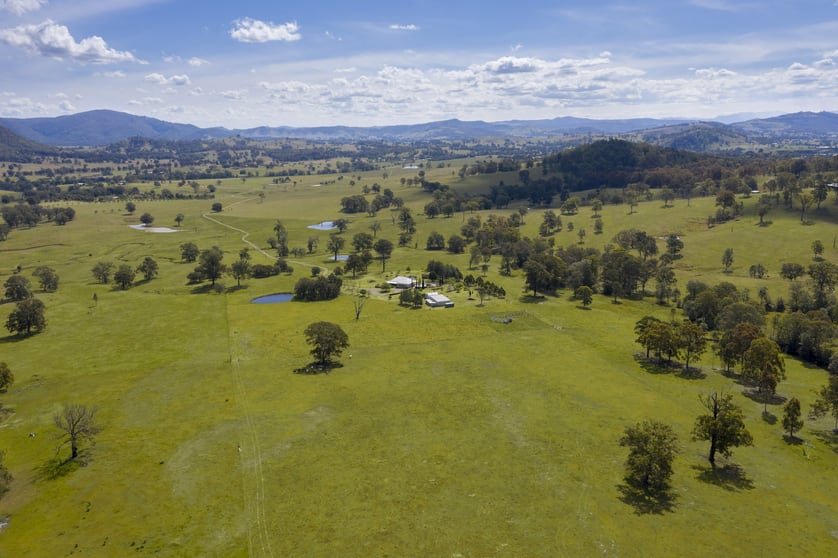 204 Torryburn Road via Paterson NSW 2421 - Image 3