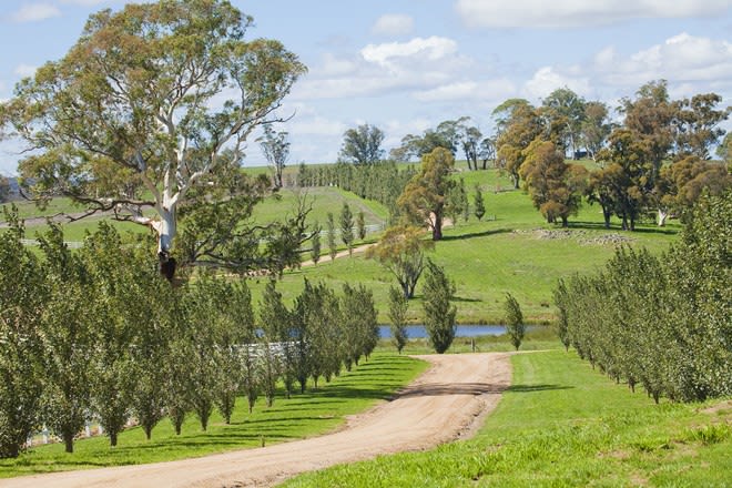 3366 Middle Arm Road Crookwell NSW 2583 - Image 2