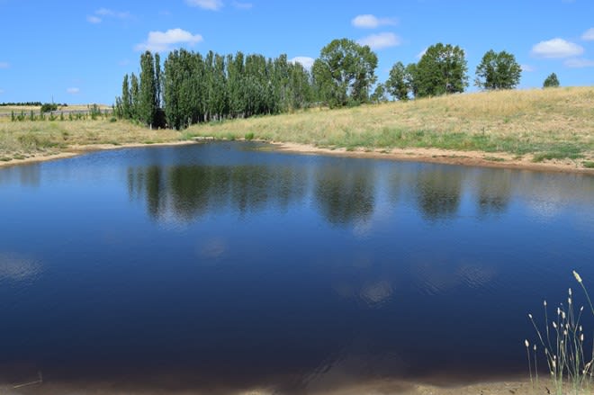 2 Kirkton Road Yass NSW 2582 - Image 1