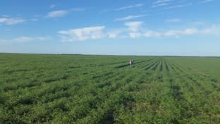 Click to view all images 301 Yagaburne - Boondandilla Rd Billa Billa QLD 4390 - Image 2