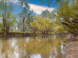 Click to view all images 226 Kergunyah Road Gundowring VIC 3691 - Image 1