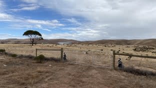 Lot 449 Pine Crest Road Cambrai SA 5353 - Image 2