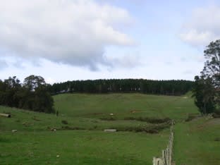 Lot 2 Upper Capel Road Upper Capel WA 6239 - Image 2