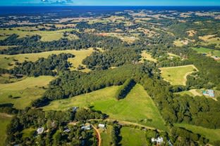 Click to view all images 149 Friday Hut Road Coorabell NSW 2479 - Image 1