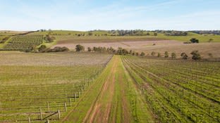 527/ Balaklava Road Auburn SA 5451 - Image 2