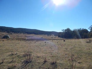Click to view all images Lot 5 Tuross Road Kybeyan NSW 2631 - Image 2