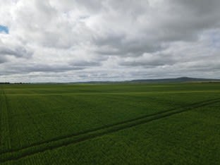 Click to view all images * Mundoora Boundary Rd Mundoora SA 5555 - Image 1