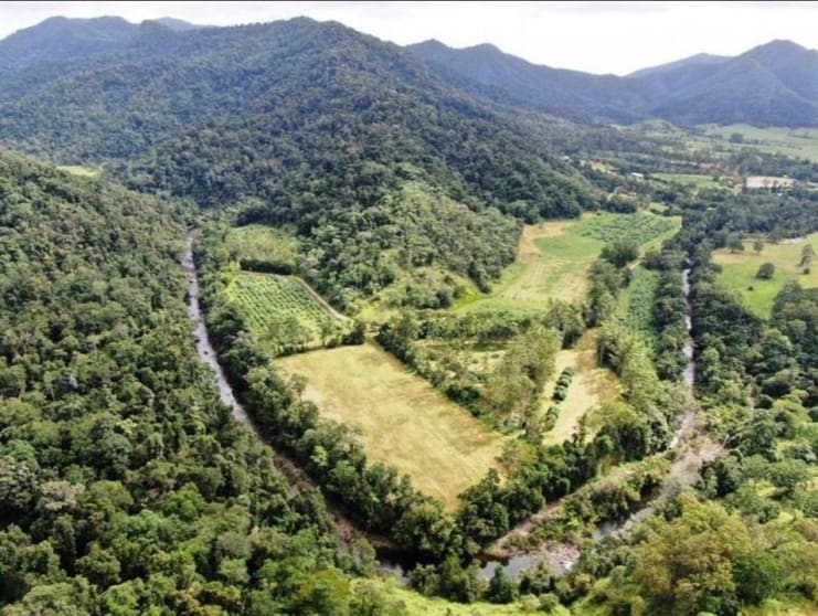 73 Brodies Road Mount Charlton QLD 4741 - Image 1