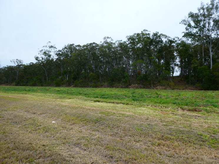 Click to view all images 73 WHITEBRIDGE ROAD North Isis QLD 4660 - Image 3